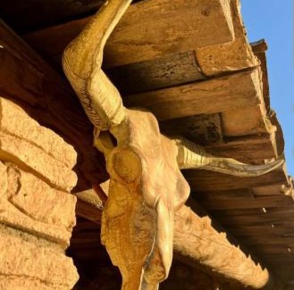 Dions Bed & Breakfast | Chez les filles