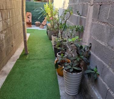 Pamandzi Apartment | Chez les Loulou