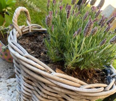 Bucey-les-Gy Bed & Breakfast | CHEZ LOU