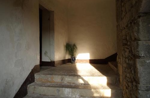 Brujas House | Chez Marcel