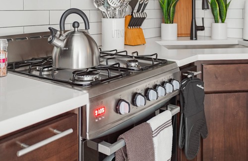 Chicago Apartment | Chic|Comfy|Renovated1Bd1Ba Perfect for Couples