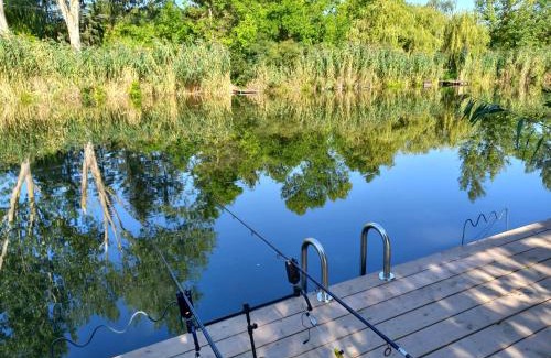 Gyomaendrod House | Chill House Danzug Gyomaendrőd