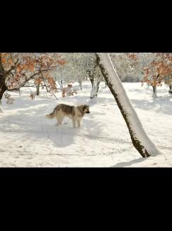 Morcone House | Chora affittacamere