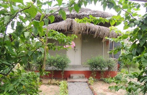 Daronda Cottage | CHOTTONEER HOMESTAY.