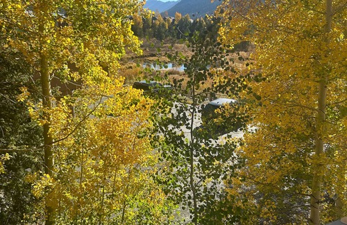 Mountain House Condo | Christmas week in paradise! Walk to lift,2bed, 2ba,cov park, pool, hot,tub.