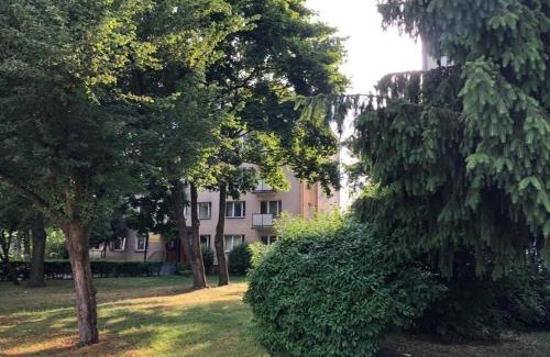 Biala Podlaska Apartment | Chrobrego 269