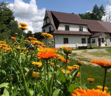 Witow Apartment | CICHY ZAKĄTEK - noclegi blisko Termy Chochołowskie