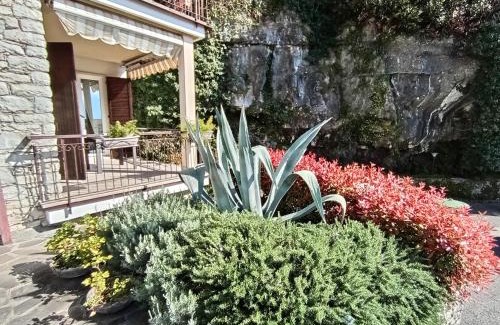 Porto Apartment | CITRUS Apartment Brenzone