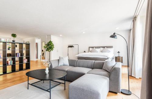 Schaffhausen Apartment | CITY-LOFT 2 !Gratis parken, Free parking!