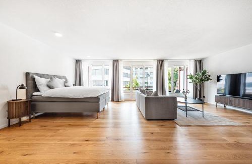 Schaffhausen Apartment | CITY-LOFT 2 !Gratis parken, Free parking!