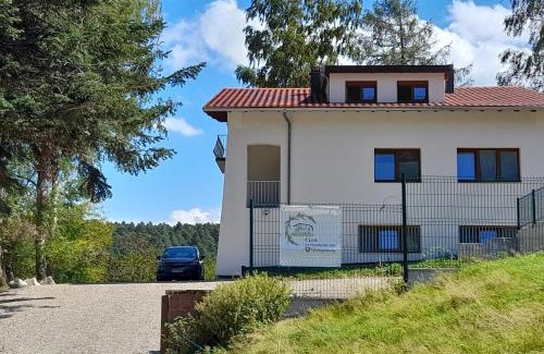Wangenbourg-Engenthal Cabin | clos Saint François Spa