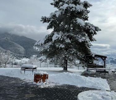 Ilva Mare House | Colț de Rai