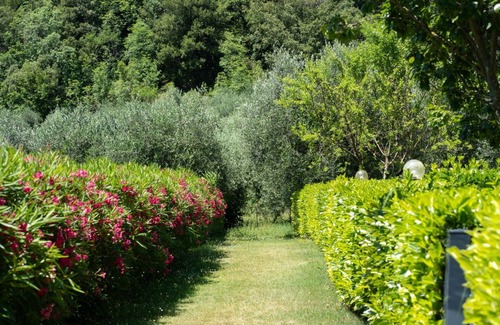 Precetto Apartment | COLLEOLIVO: Three-room apartment in farmhouse with swimming pool, Marmore Falls