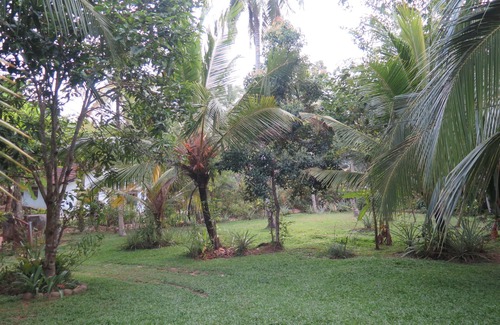 Talalla House | Colonial House Hide Away In The Nature Near The Beach Talalla . [ Just 200 m]