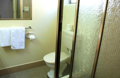 Albury Hotel | Comfort Inn Commodore Albury