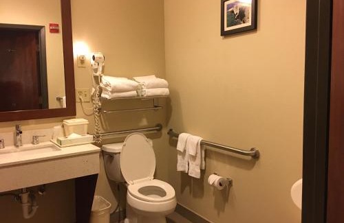 Brownwood Hotel | Comfort Inn Early Brownwood