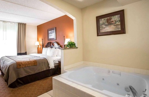 Valley Falls Hotel | Comfort Inn & Suites Spartanburg North