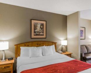 Boone Hotel | Comfort Suites Boone - University Area