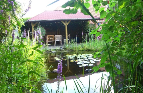 Bleckede Apartment | Comfortable apartment with dream garden