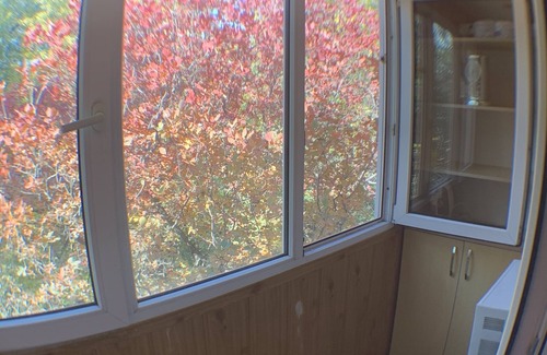 Almaty Apartment | Comfortable Apartment in Almaty. Near: Family park, Pubs,Cinema, Monuments.