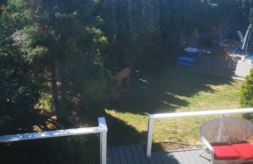 Vernon House | Comfortable rural retreat with space and privacy