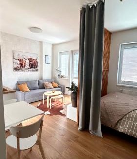 Banska Bystrica Apartment | Comfy studio, private parking, smart check in