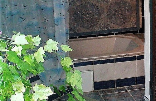 Lohrbach Other | Companies of up to 12 people in the moated castle