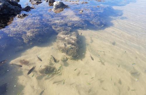 Barra de Tabatinga Apartment | COMPLEJO PONTA das BRILLES. DTO. 2.