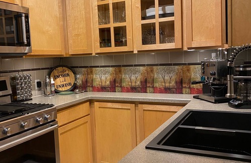 Downtown Seattle Condo | Condo on the Waterfront w/secured parking. Walk to Pike Market, Cruise Terminal