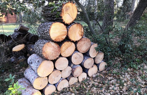 Chateauneuf-de-Gadagne Cottage | Confortable Cottage Dans les Bois