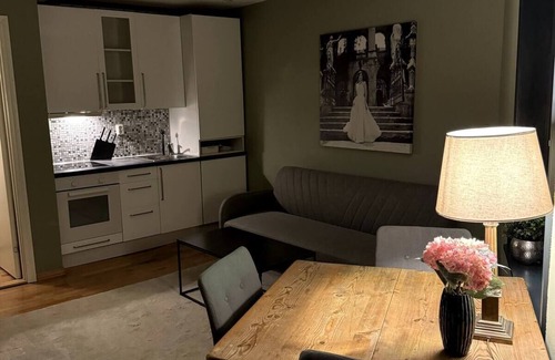 Engen Apartment | Convenient apartment in quiet neighborhoodnn