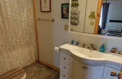 Negaunee Cottage | Convenient, cozy, and colorful 2 Bed/1 Bath Home