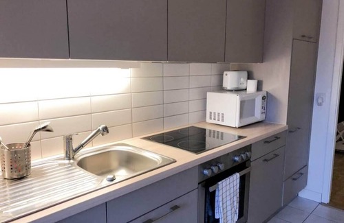 Liotard House | Cool Flat + 4 Bikes to Explore Geneva