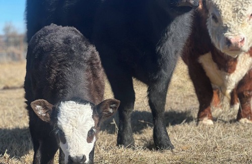 Redmond House | Cool RV with AC in Redmond