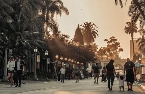 Normal Heights House | Copacetic Peach Tree | 1920s Storybook Cottage and Bungalow