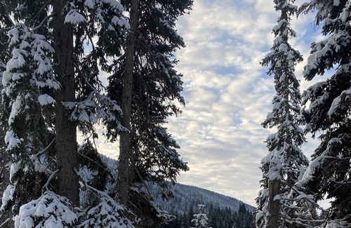 Merritt Cabin | Coquihalla Lakes Lodge is a year round outdoors resort with fun for all ages