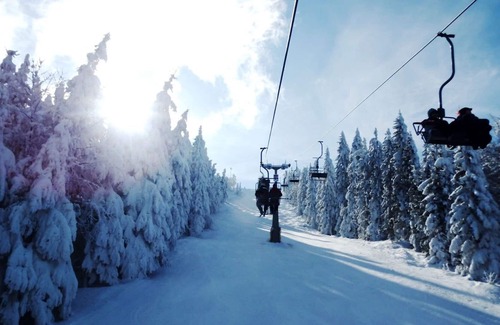 Arrach Apartment | Cosy apartment for 4 people with WIFI, TV, patio, pets allowed and parking