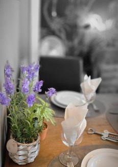 Rogier Apartment | Cosy apartment jacqmain