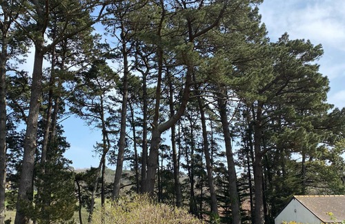 Le Palais House | Cosy family home 15 minutes' walk from the palace center