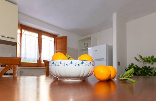 Zona XXXIII Acilia Sud Apartment | Cosy groundfloor apartment with sprawling garden