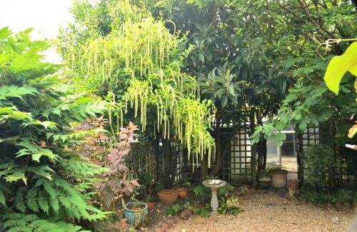 Alresford House | Cosy house, a train spotter's delight!