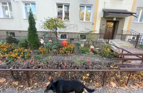 Pulawy Apartment | Cosy studio in quiet location