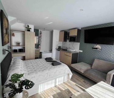 Tassin Apartment | Cosy studio l'éclipse Balneo