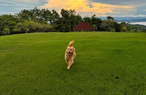 Cerro Azul Cabin | Cottage in a beautiful property.