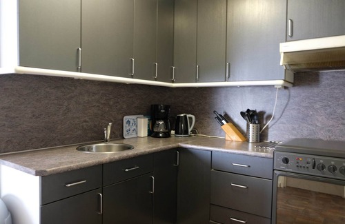 Giethoorn House | Cottage in Dwarsgracht near Giethoorn