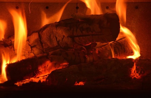 Harre Cottage | Cottage in the heart of the Ardennes woods with garden