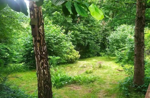 Porabka Cottage | Cottage in the picturesque Beskid Maly Mountains