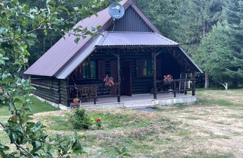 Kolasin Municipality House | Cottage in the wild Pješčanica