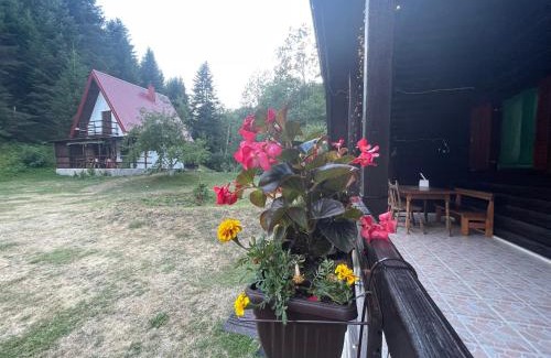 Kolasin Municipality House | Cottage in the wild Pješčanica