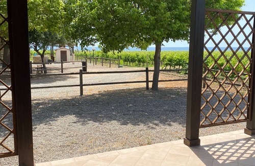 Ciro Marina House | cottage nestled in a vineyard on the sea